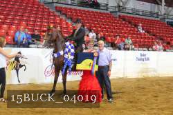 15BUCK_04019 proof