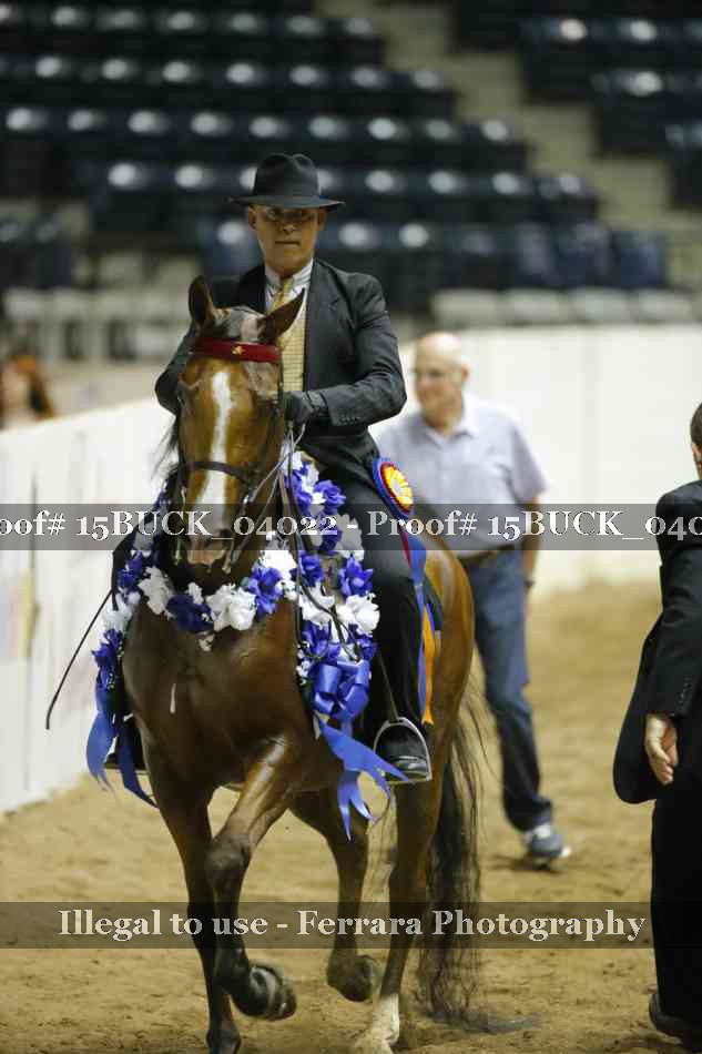Proof 15BUCK_04022