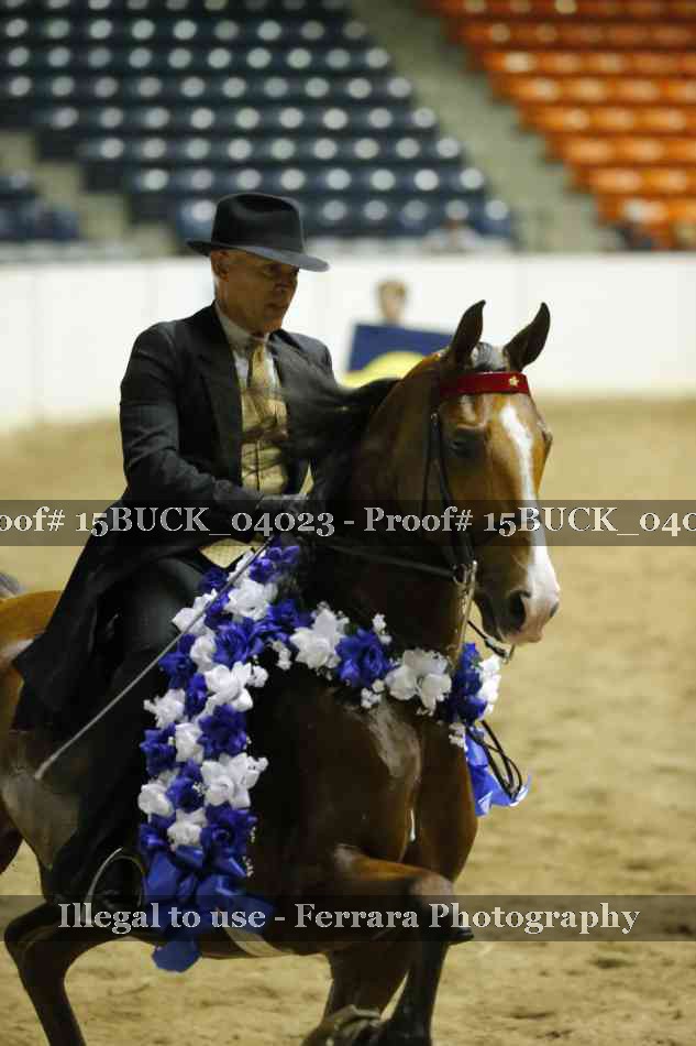 Proof 15BUCK_04023