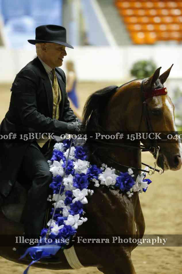 Proof 15BUCK_04024