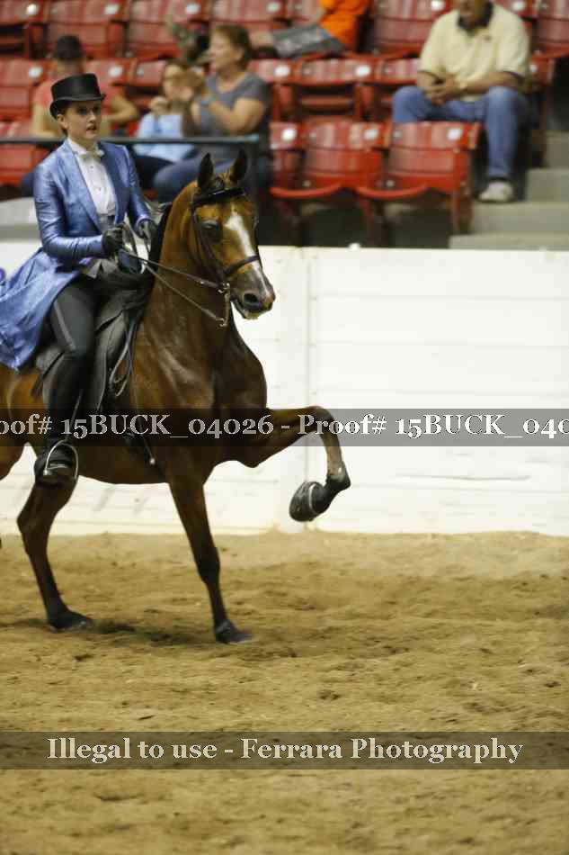 Proof 15BUCK_04026