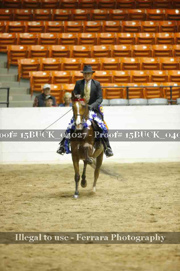 Proof 15BUCK_04027