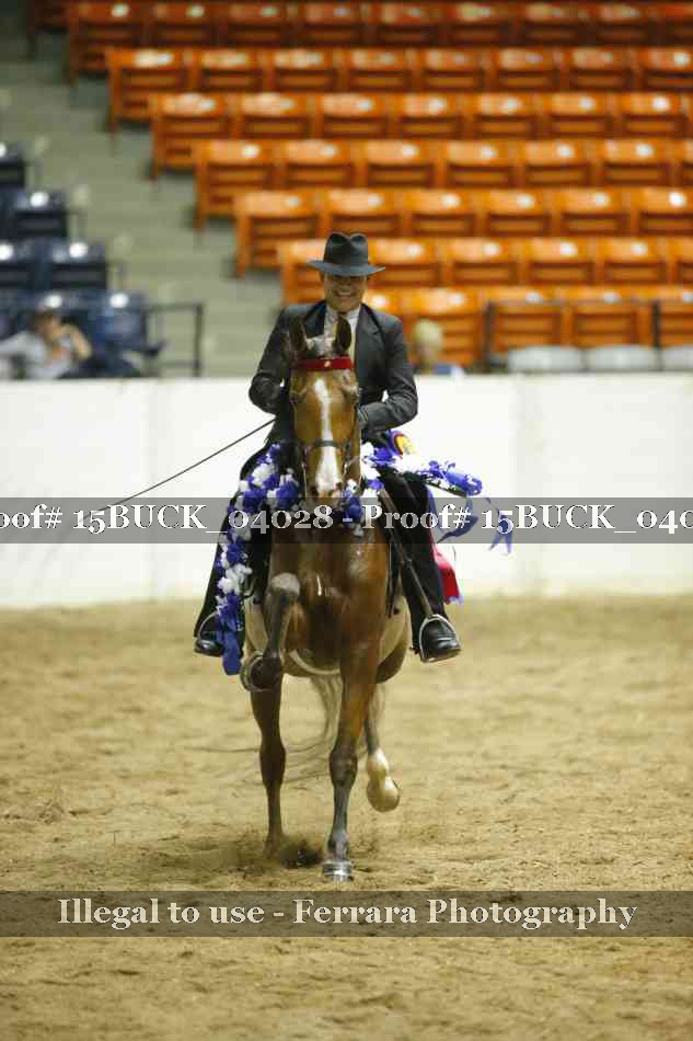 Proof 15BUCK_04028
