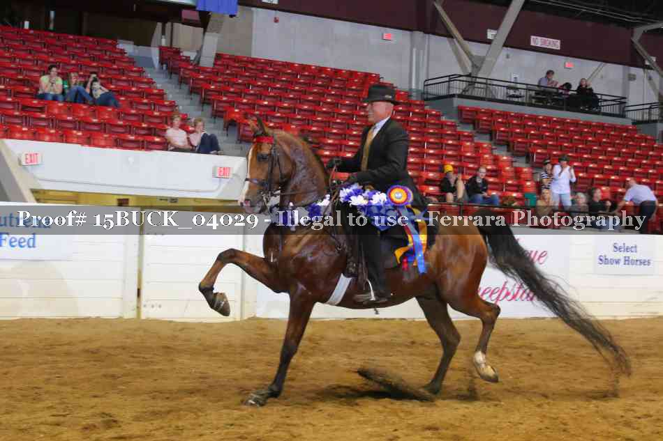 Proof 15BUCK_04029