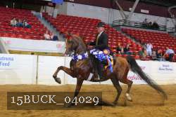 15BUCK_04029 proof