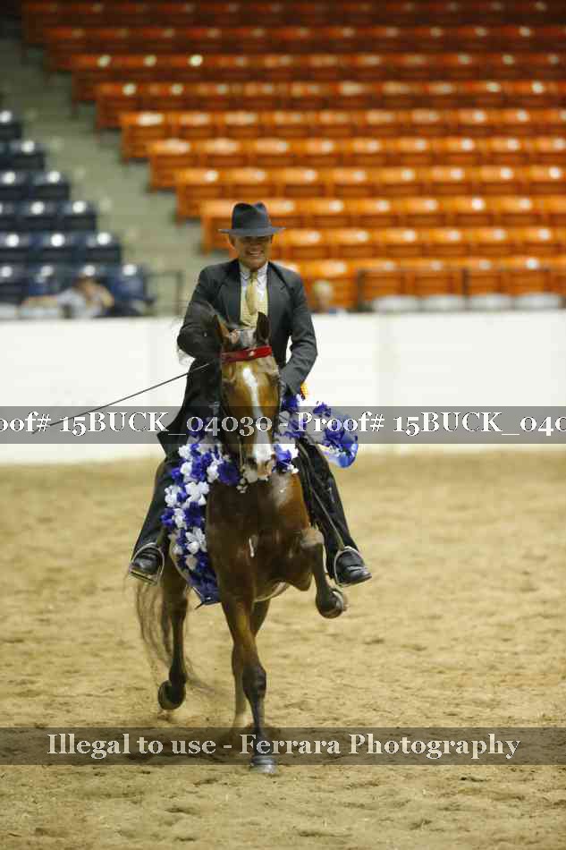 Proof 15BUCK_04030