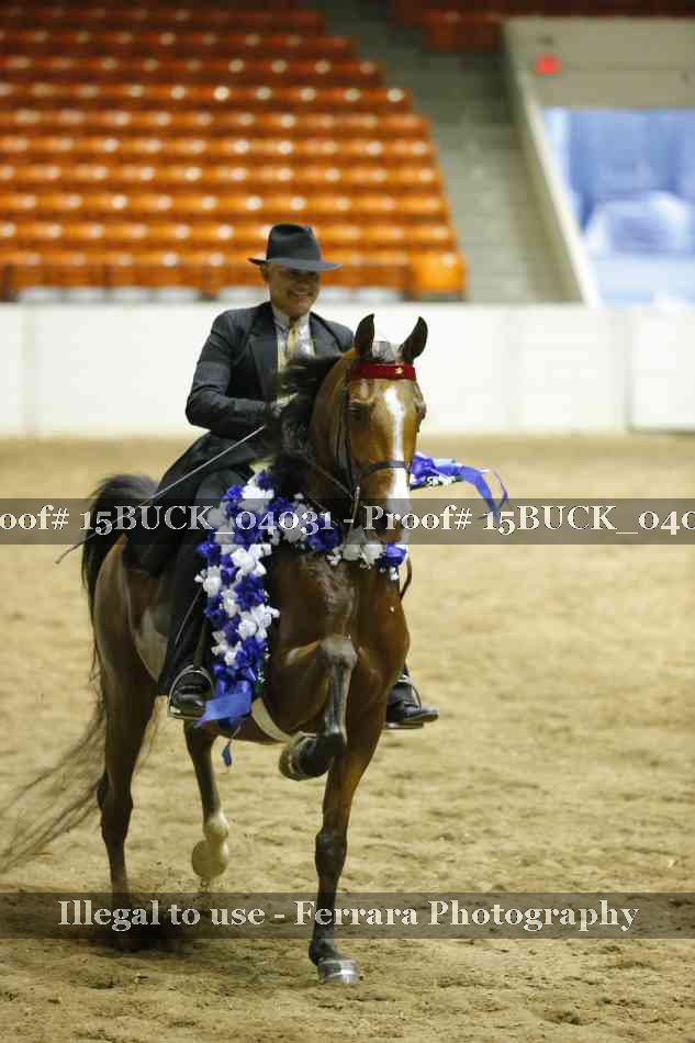 Proof 15BUCK_04031