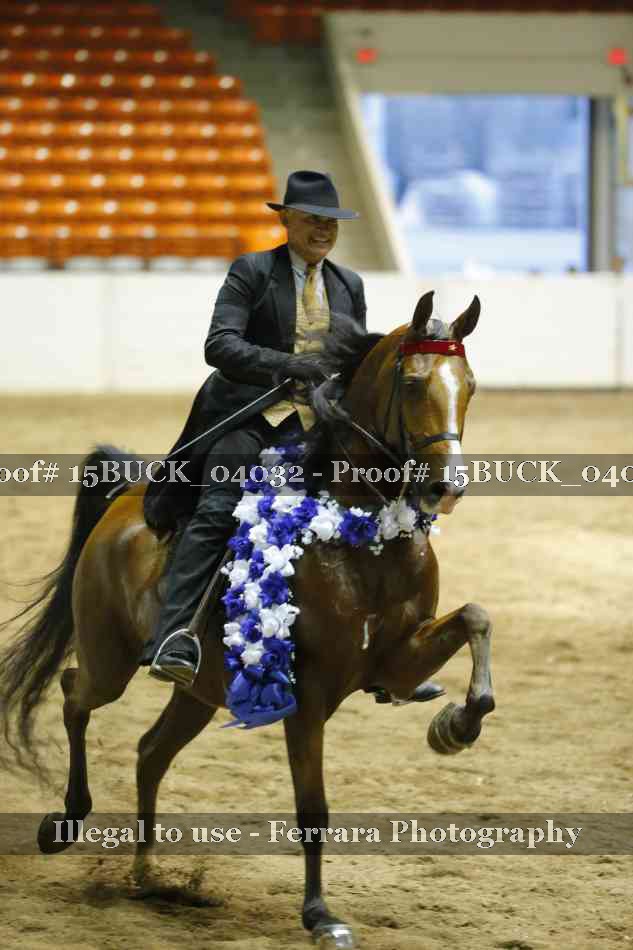 Proof 15BUCK_04032