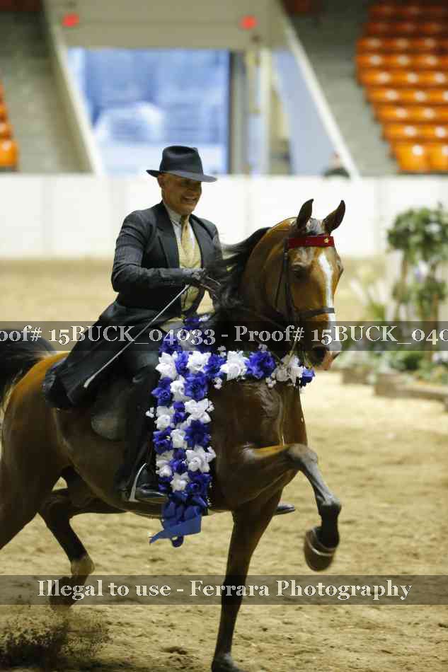 Proof 15BUCK_04033