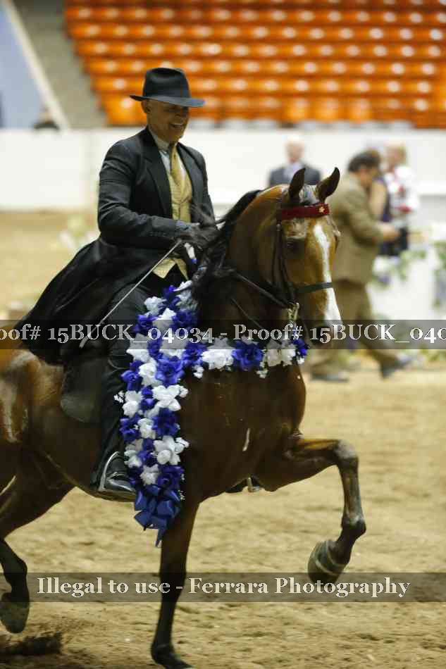 Proof 15BUCK_04034