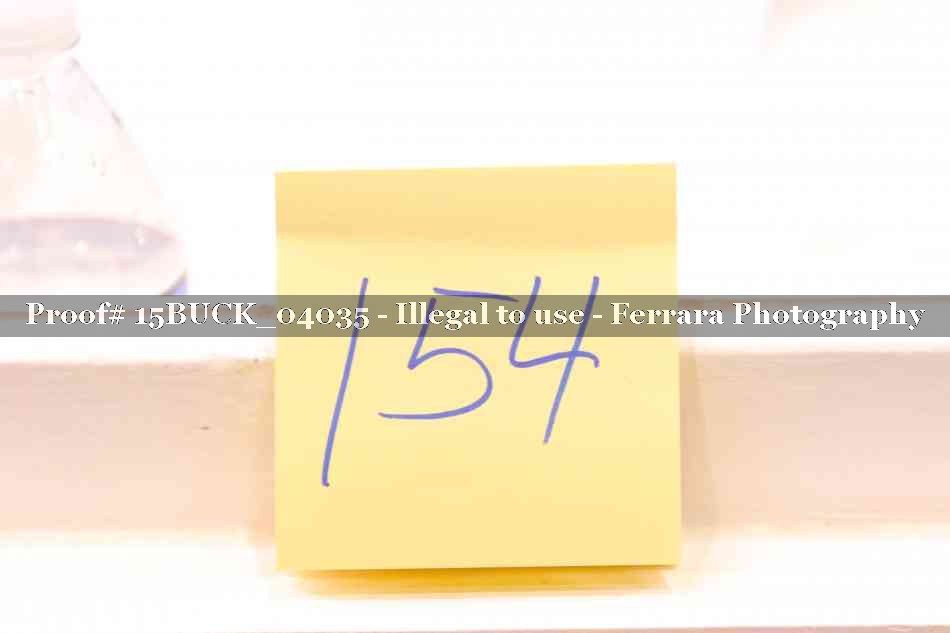 Proof 15BUCK_04035