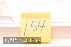 15BUCK_04035 proof