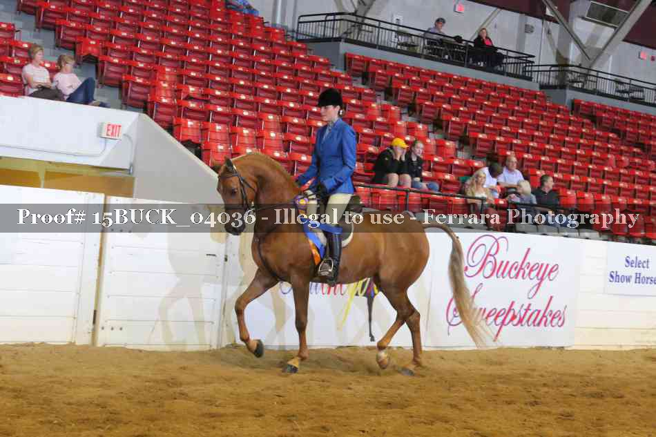 Proof 15BUCK_04036