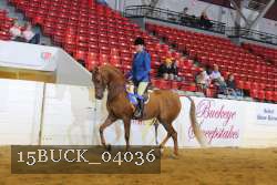 15BUCK_04036 proof