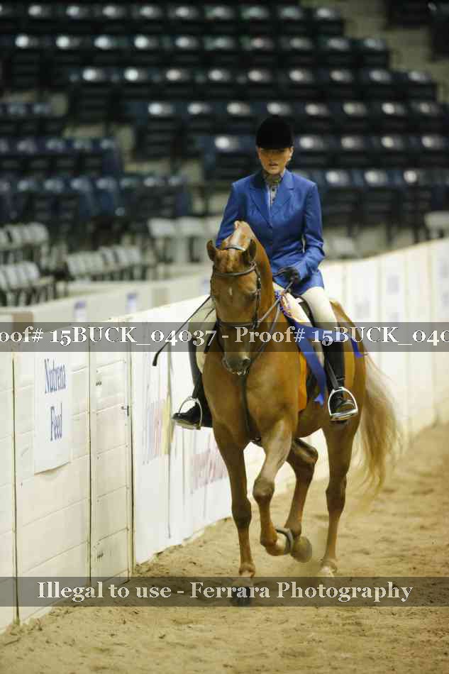 Proof 15BUCK_04037