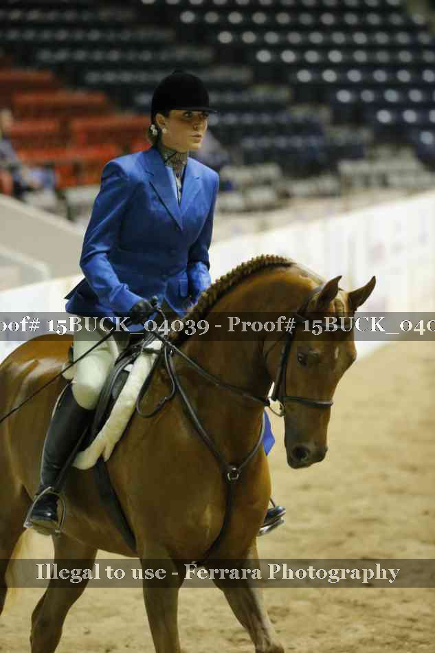 Proof 15BUCK_04039