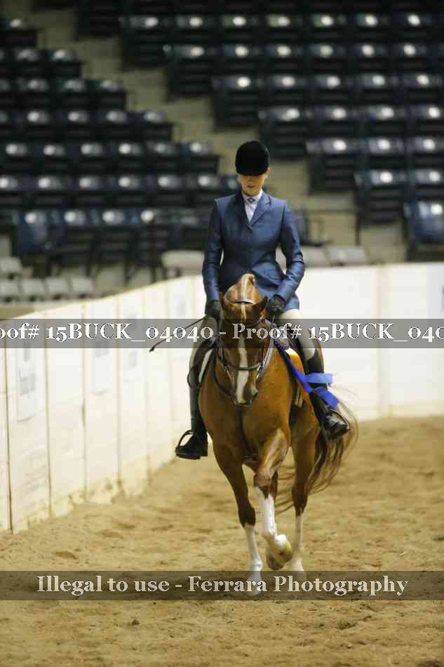 Proof 15BUCK_04040