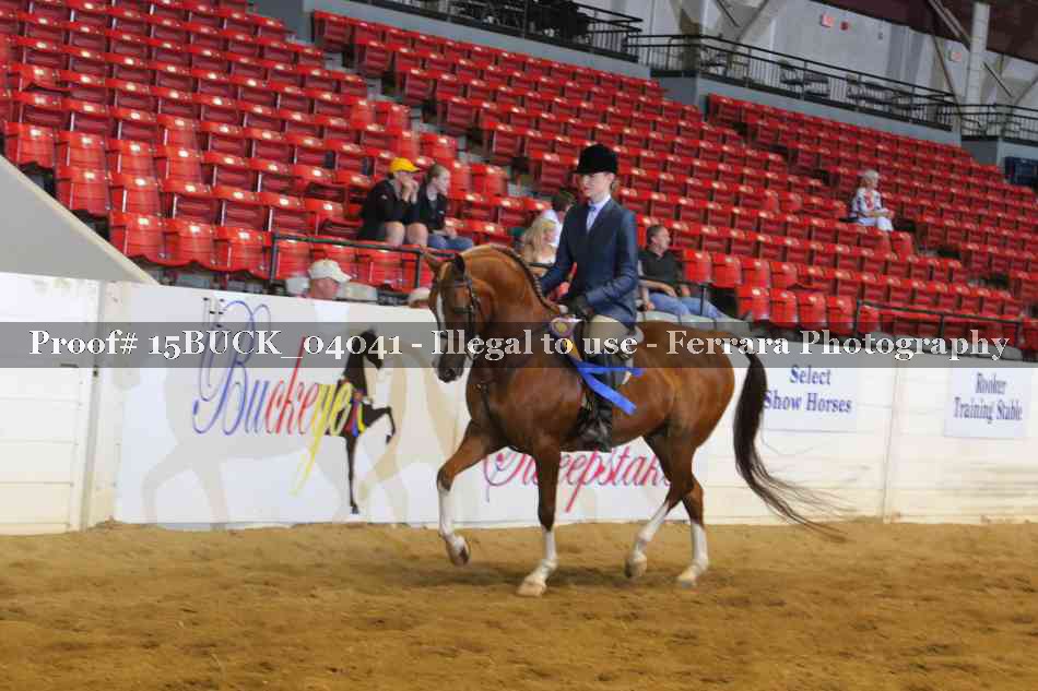Proof 15BUCK_04041