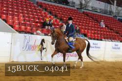 15BUCK_04041 proof