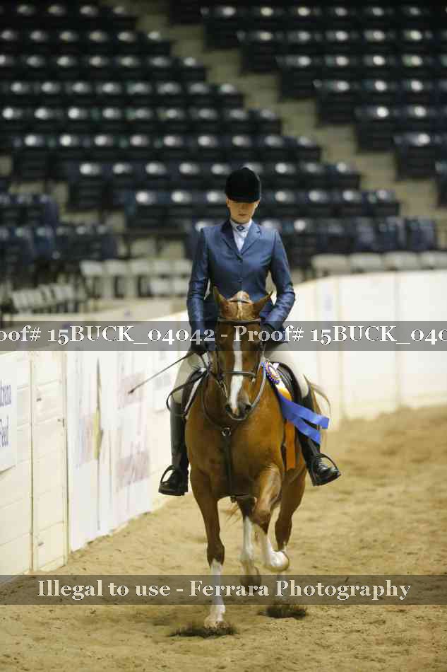 Proof 15BUCK_04042