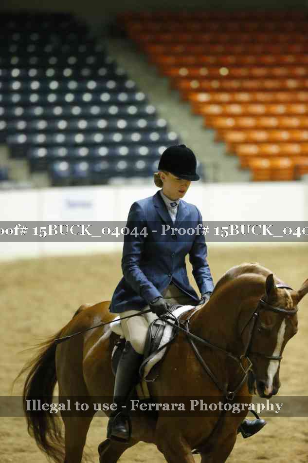Proof 15BUCK_04044