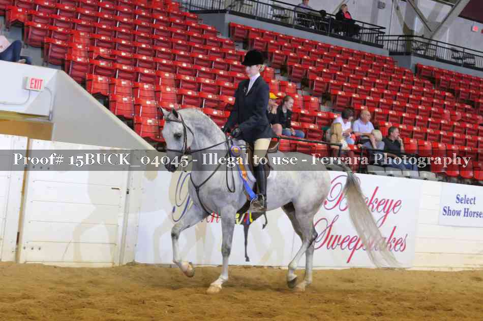 Proof 15BUCK_04045