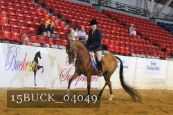 15BUCK_04049 proof