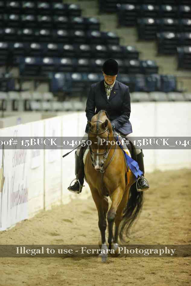 Proof 15BUCK_04050