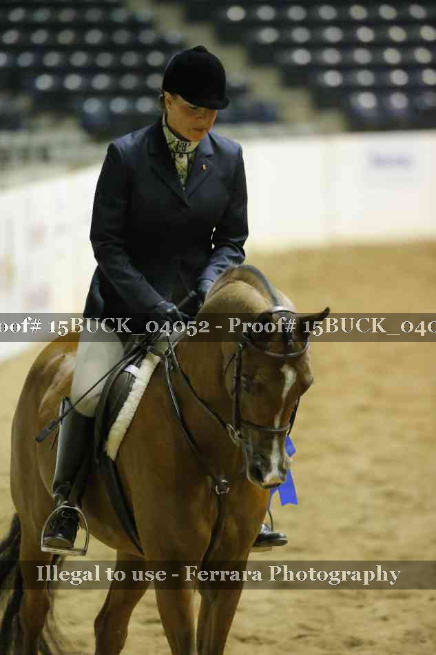 Proof 15BUCK_04052