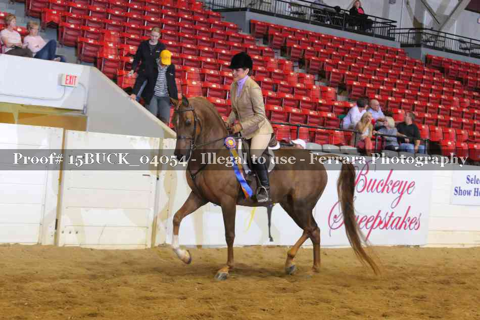 Proof 15BUCK_04054