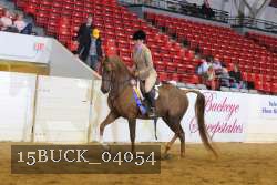 15BUCK_04054 proof