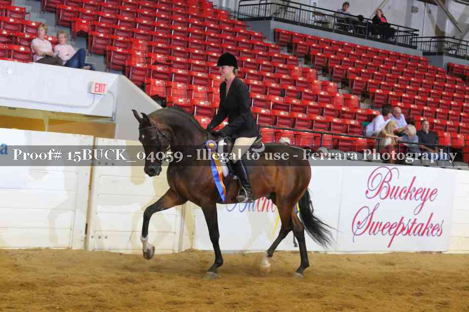 Proof 15BUCK_04059