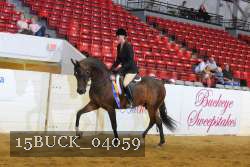 15BUCK_04059 proof