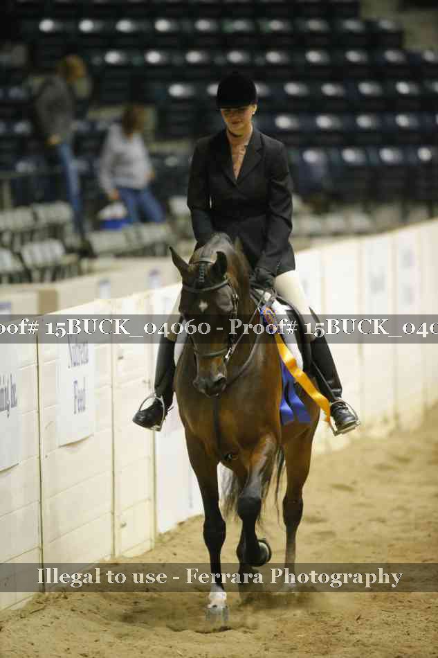 Proof 15BUCK_04060