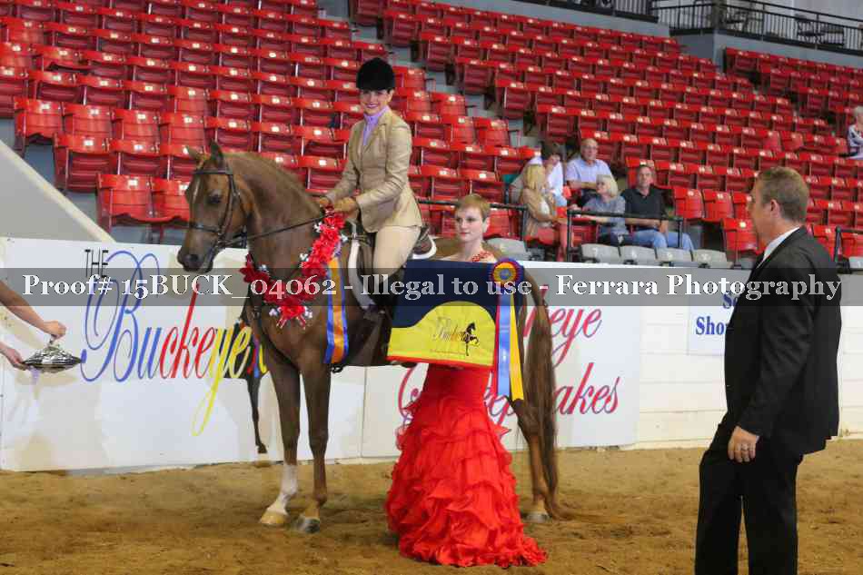Proof 15BUCK_04062