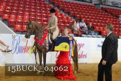 15BUCK_04062 proof