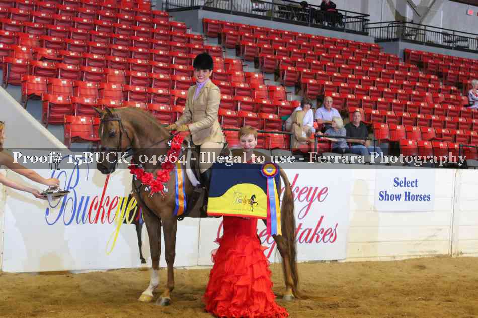 Proof 15BUCK_04064