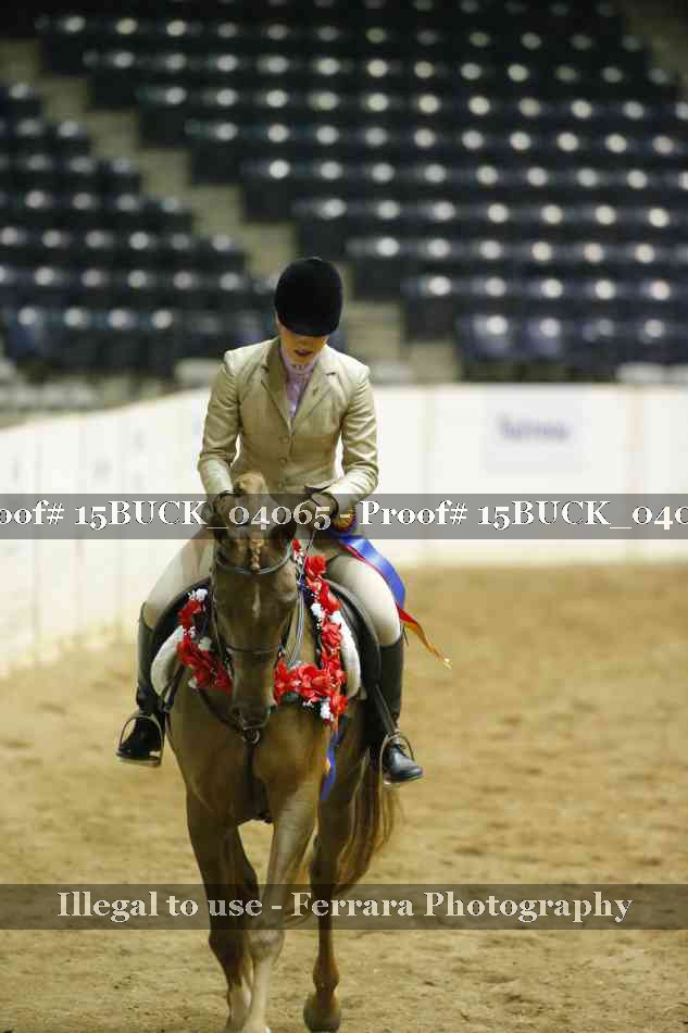 Proof 15BUCK_04065