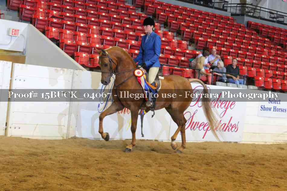 Proof 15BUCK_04067