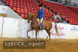 15BUCK_04067 proof