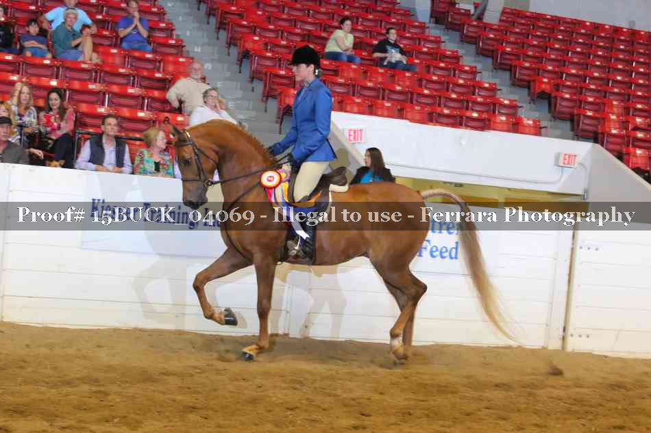 Proof 15BUCK_04069