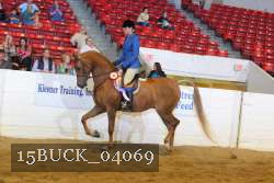 15BUCK_04069 proof