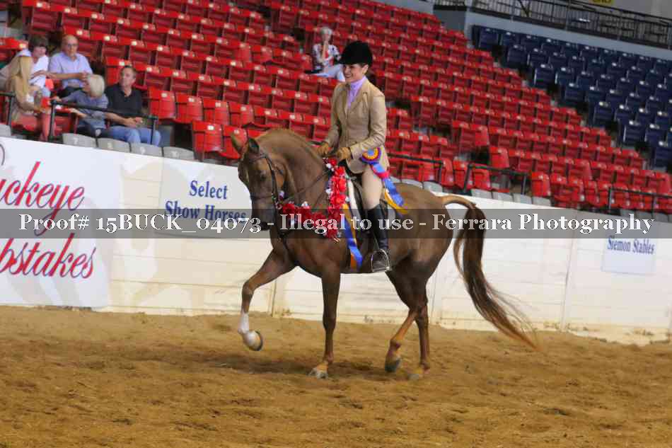 Proof 15BUCK_04073