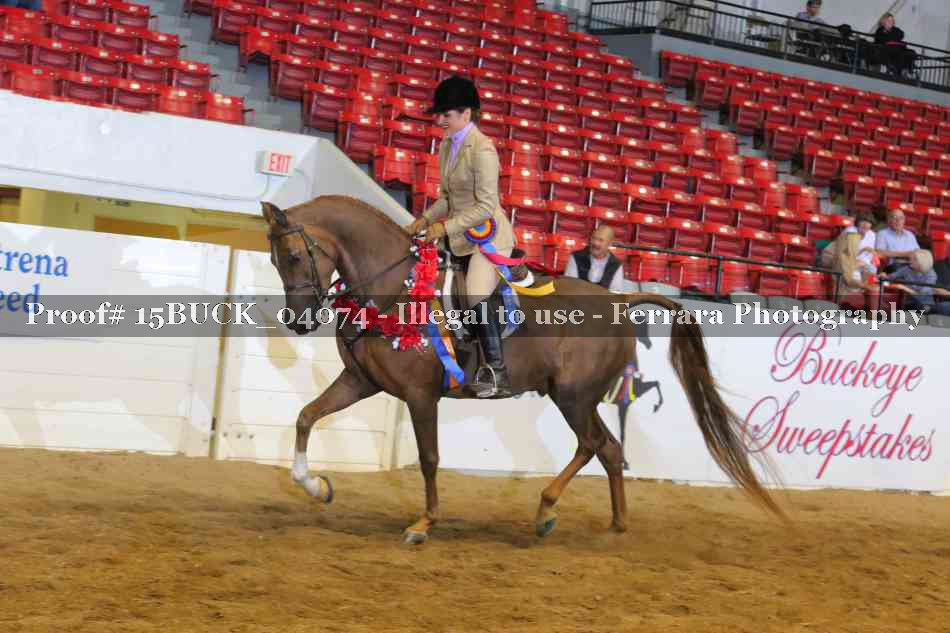 Proof 15BUCK_04074
