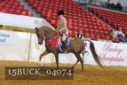 15BUCK_04074 proof
