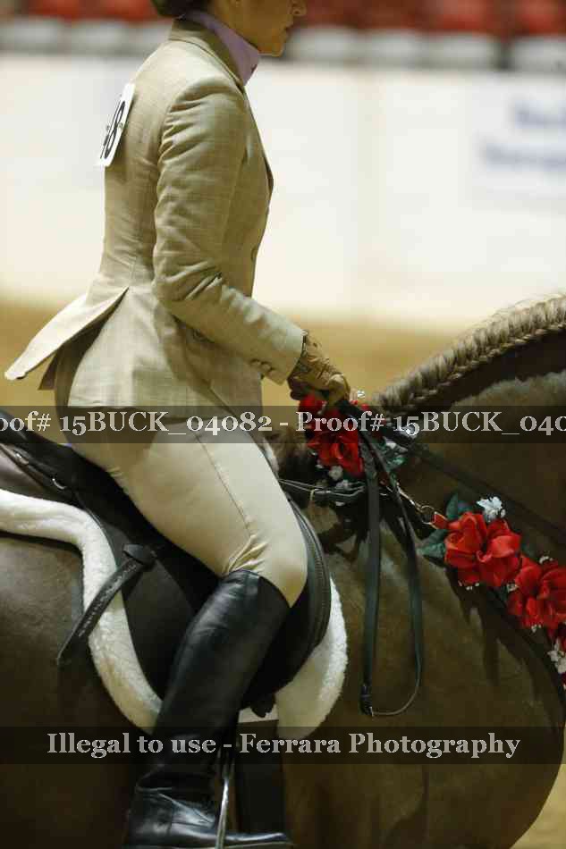 Proof 15BUCK_04082
