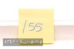 15BUCK_04084 proof