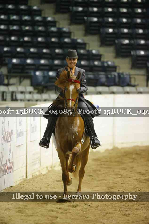 Proof 15BUCK_04085
