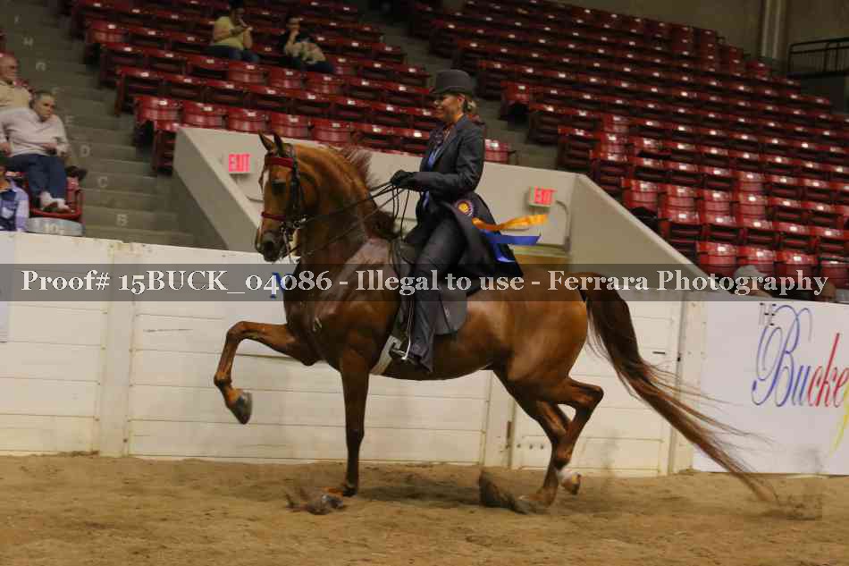 Proof 15BUCK_04086