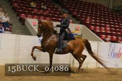 15BUCK_04086 proof